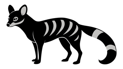 Obraz premium Genet Animal Vector Art for Educational and Print Use