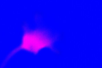 A collection of soft, blurred abstract backgrounds featuring vibrant color gradients and out-of-focus shapes. This modern bokeh pattern is ideal for serene, ethereal, and energetic backdrops.