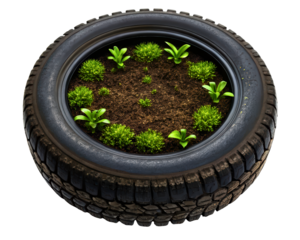 Upcycled car tire used as a garden planter with small sprouts on a transparent background