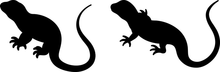 Fototapeta premium Black lizard animal set, a set of lizards, lizards collection, Vector of lizard animal, lizard silhouette, black lizard isolated on white background