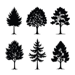 Six diverse tree silhouettes against a white background trees black