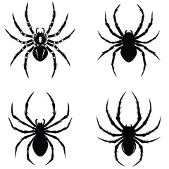 Web