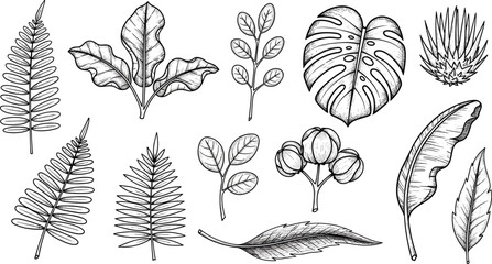 Palm leaves hand drawn crayon brush illustration. Chalk textured tropical jungle doodle shape