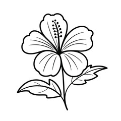 Obraz premium Simple Hibiscus Flower Line Drawing Vector – Minimal Floral Design Illustration