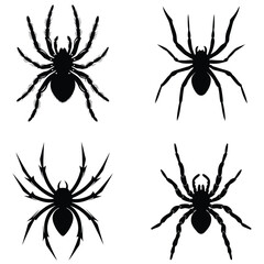 Web