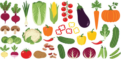 Vegetables set. Healthy organic food. Tomatoes, onion, zucchini, eggplant, leek, potatoes, corn, peppers, beet