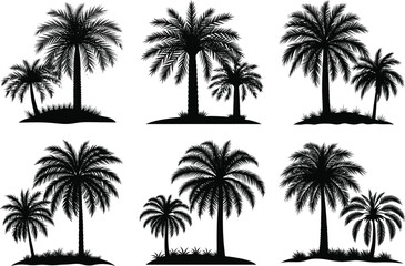 silhouetted tropical palm trees