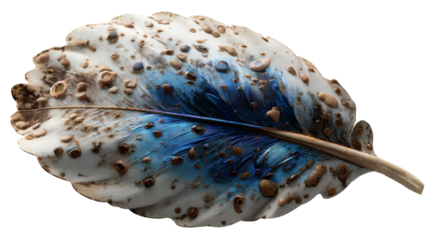 Feather patterned leaf on transparent background