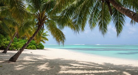 Fototapeta premium Tropical beach with palm trees and clear turquoise water