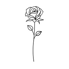 rose flower line art vector illustration