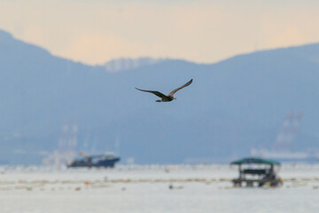 a misty view of the beach in the morning. the morning scenery of Gwangam Port in Korea