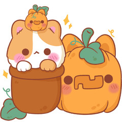 Orange and white cat with two cute halloween pumpkins, halloween cartoon