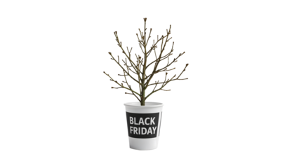 Minimalist black friday concept: leafless tree in potted planter with bold typography on isolated background