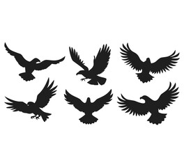 Obraz premium Eagle Silhouette Vector Set – Flying and Perched Bird Shapes, a set of flying birds silhouette in different poses, bird set, Bird flying shilhouette black color 