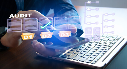 Concept of auditing the company's accounts