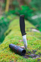 camping knife in a log covered with moss in the forest