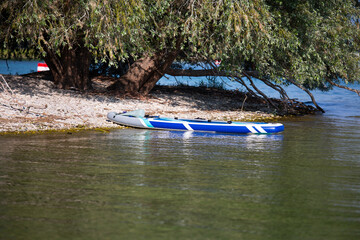 sup board on the lake coast under the tree