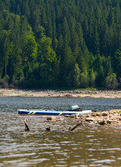 sup board on the lake, Stony Coast with forest in the background