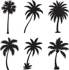 Palm Tree Silhouette Collection – Coastal Jungle and Beach Tree Variations in Vector FormatPalm Tree Silhouette Collection – Coastal Jungle and Beach Tree Variations in Vector Format