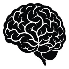 Monochrome Human Brain Illustration Cerebral Organ Anatomy Concept Neural Network Intelligence Mental Health Cognitive Function Mind Neurology