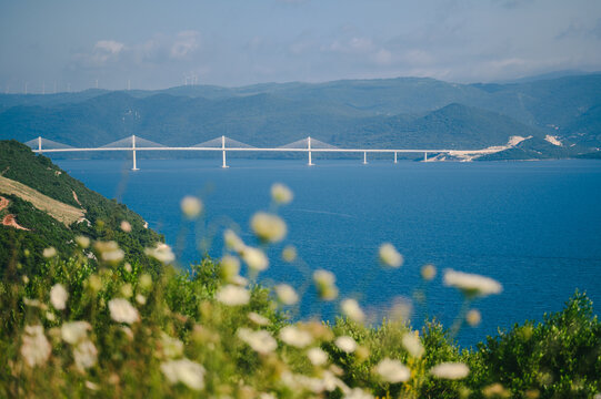 Peljesac Bridge in Croatia viewed from a scenic distance with wildflowers in foreground and lush Adriatic landscape