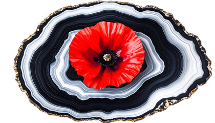Elegant Red Poppy Flower on Stunning Black and White Agate Background
