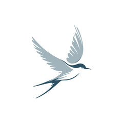 A graceful bird in mid-flight, showcasing its elegant wings against a minimalist background