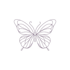 Intricate line drawing of a butterfly showcasing delicate wings in a minimalistic style