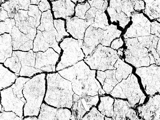 Cracked earth texture in black and white. Perfect for drought concept art, dry soil backgrounds, grunge overlays, climate visuals, or distressed design and texture use.
