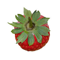 Isolated rotated strawberry on transparent background 3d illustration