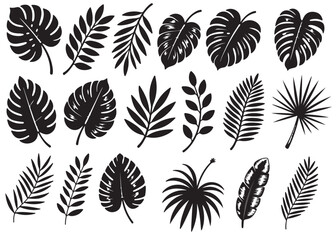 Palm leaves illustration vector set. Chalk textured tropical jungle doodle shapes. Foliage tropical jungle leaves monstera, texture silhouette elements. Hand drawn grunge textur