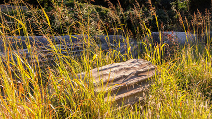 Marmorsäule im Gras