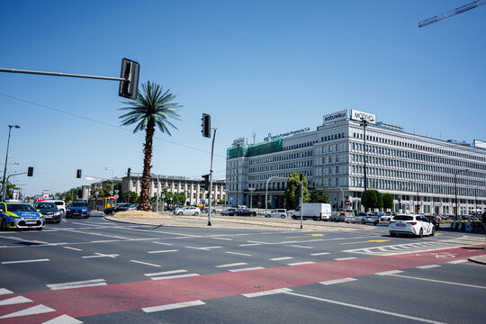 Urban street in Warsaw with palm tree near modern city architecture