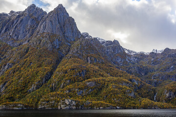 Autumn landscape in Lofoten Islands, Northern Norway, featuring colorful foliage, and a peaceful...