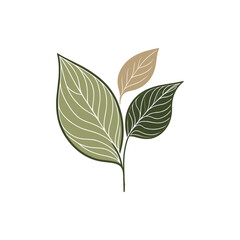 A close-up illustration of three stylized leaves in varying shades of green and beige, symbolizing nature