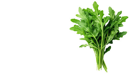 Fresh arugula leaves arranged beautifully on a white isolated background.