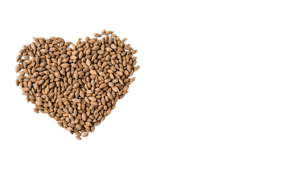 Heart-shaped arrangement of raw seeds on a white background, representing love for healthy eating.