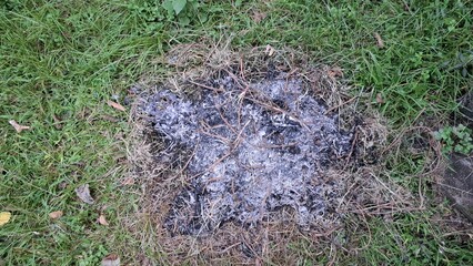 Environmental Disaster Concept, Forest Ground Burnt with Ashes and Blackened Soil After Negligent Fire Spread