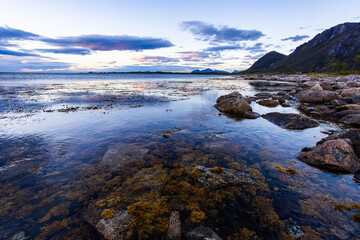 Autumn landscape in Lofoten Islands, Northern Norway, featuring colorful foliage, and a peaceful...