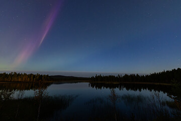Northern lights in Kiruna, Sweden, reflecting on calm water in September with stars and forest in...
