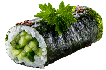 hosomaki sushi with cucumber filling, seaweed wrapped, cut in one bite size. on white background. Japanese healthy asian cuisine concept.