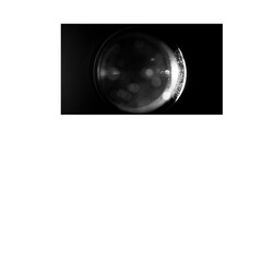 Abstract Sphere with Light Glare
