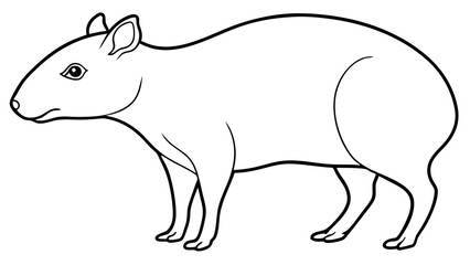 Fototapeta premium Agouti sitting on grass vector animal drawing