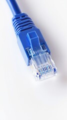 Blue Network Connector Detail