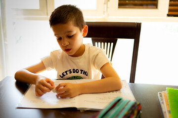 Young boy concentrating on studying at home