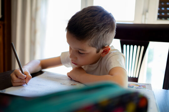 Young student drawing and studying at home