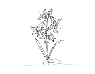 Elegant single-line drawing of a flower