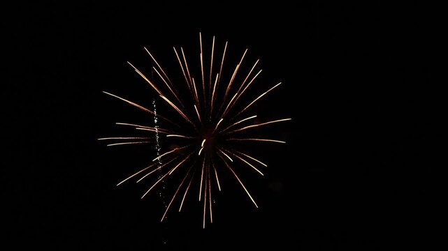 Exhibici&oacute;n fuegos artificiales 2