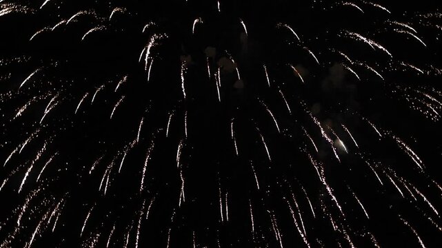 Exhibici&oacute;n fuegos artificiales 