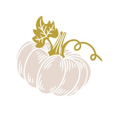 Original hand-drawn illustration of a Halloween autumn pumpkin in a minimalist style. illustrations for posters, cards, and graphic design.